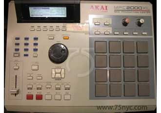 Enlarged view of image